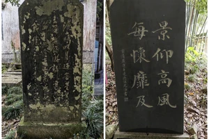 富春江小三峡游船体验_富春江小三峡图片_富春江桐庐严子陵钓台一日游