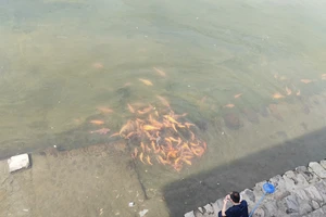 富春江小三峡游船体验_富春江桐庐严子陵钓台一日游_富春江小三峡图片