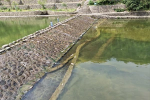 富春江小三峡游船体验_富春江桐庐严子陵钓台一日游_富春江小三峡图片