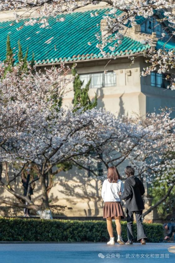 武汉赏樱酒店推荐_武珞路周围住宿_武汉赏樱住哪里