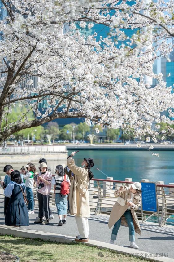 武珞路周围住宿_武汉赏樱住哪里_武汉赏樱酒店推荐