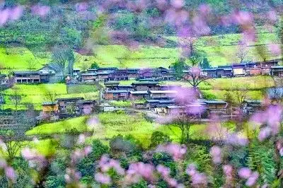 生态文明托起美丽中国 2026_绿色低碳发展成就_生态文明建设