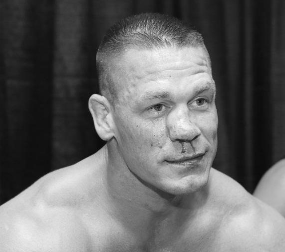 WWE塞斯罗林斯打伤选手事件_wwe选手开除被打_WWE圣盾组合解散原因分析