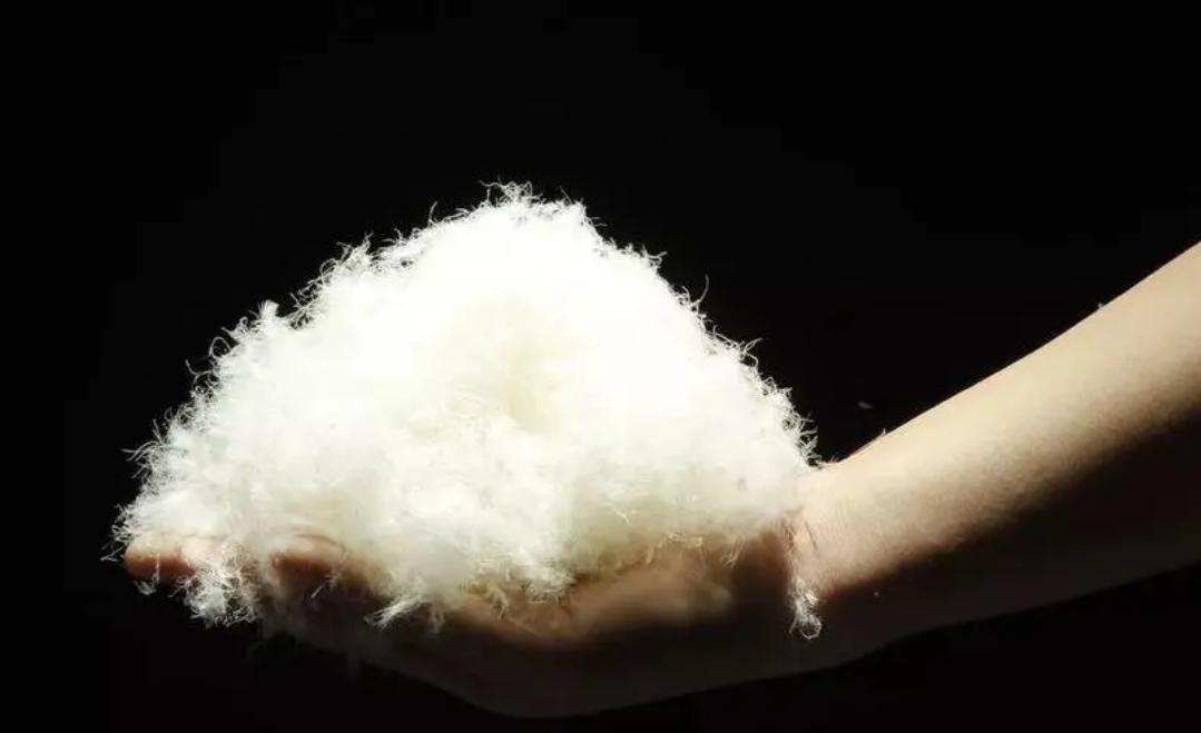 羽绒服保暖性能指标解读_波司登羽绒服充绒量争议_波司登男士羽绒服