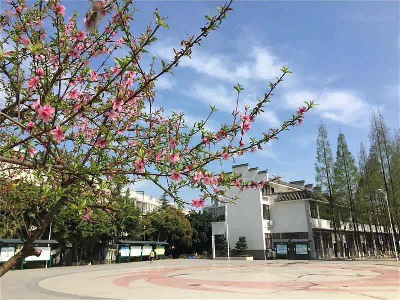 成都师大一中锦江校区 龙泉校区 天府校区_师大一中龙泉校区地址