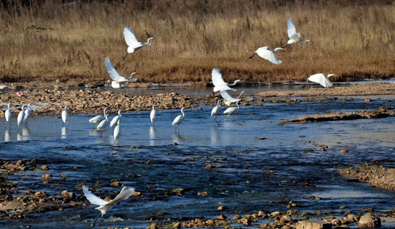 崆峒区生态环境治理_崆峒区绿色发展实践_生态文明乡村建设自查报告