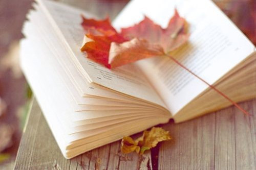 歌曲歌词打动人心_歌词陪伴人生起伏_歌词我祈祷拥有一颗透明的心灵