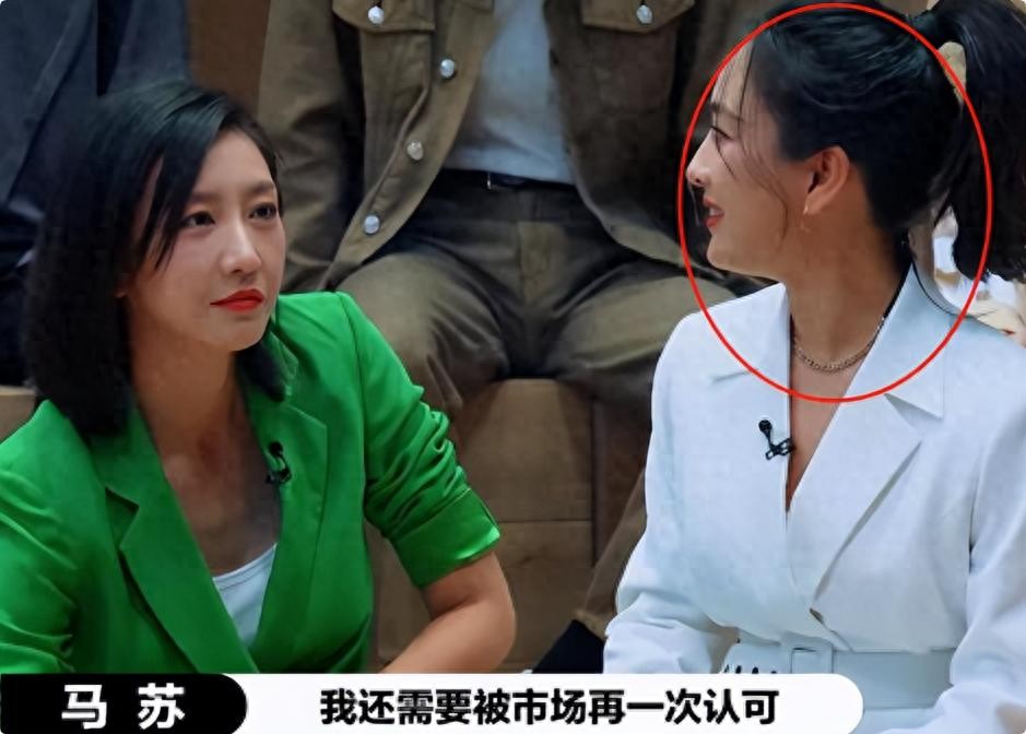 马苏孔令辉分手原因_马苏主演电视剧_马苏演员经历