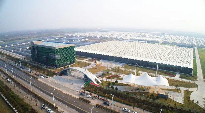 杨凌智慧温室大棚技术_杨凌智慧农业示范园_高端温室生态餐厅