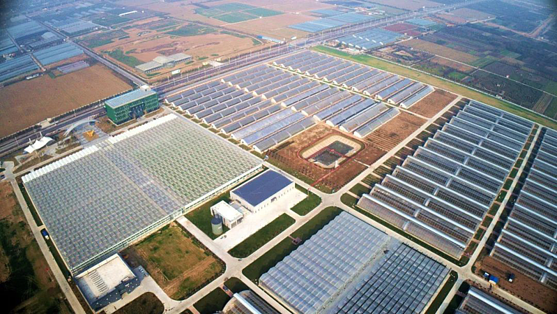 杨凌智慧温室大棚技术_高端温室生态餐厅_杨凌智慧农业示范园