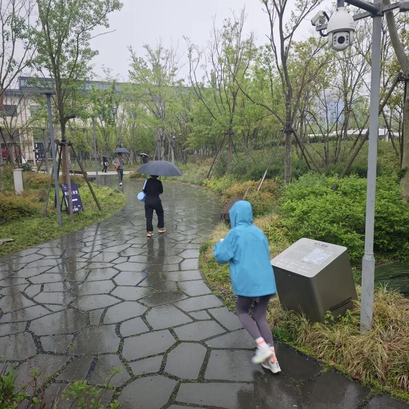 儿童定向运动对儿童发展的重要性_2026年浙江省儿童定向教师培训班_南京教师培训现状