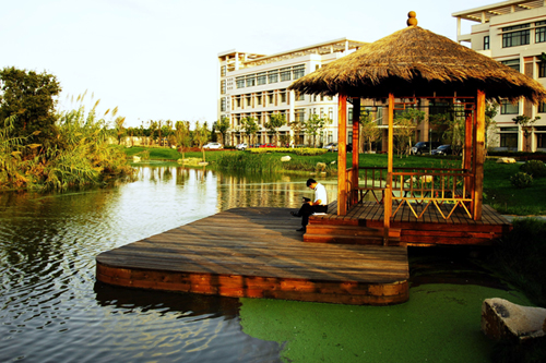 海关学院_上海海关学院历史沿革_上海海关学院专业设置