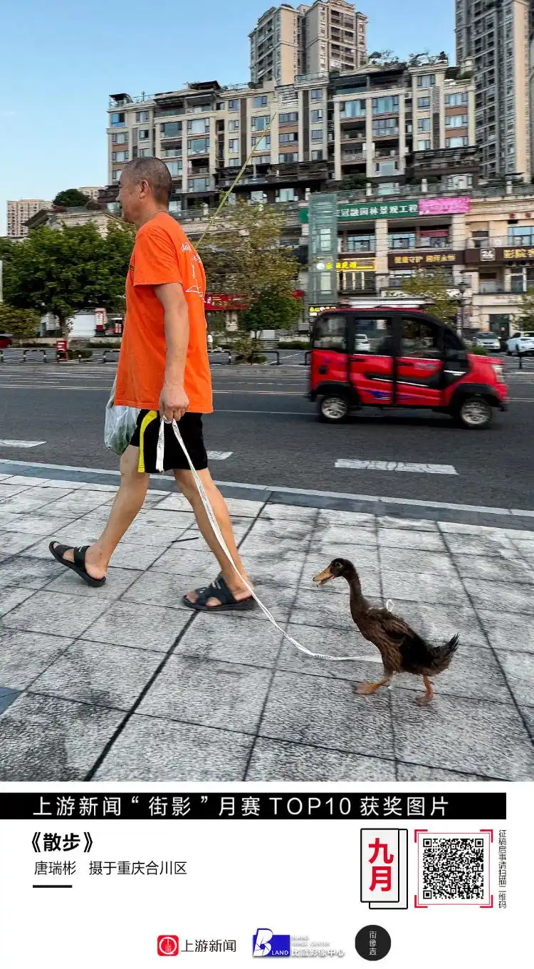 街头摄影作品分析_摄影作品展板设计_城市街头温情瞬间捕捉