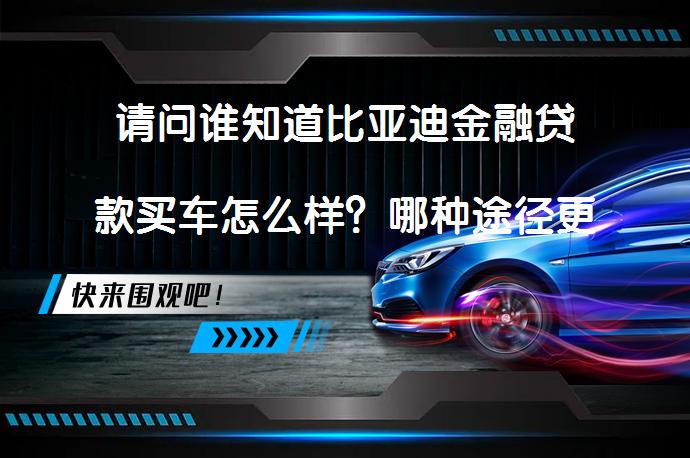 请问谁知道比亚迪金融贷款买车怎么样？哪种途径更划算？_58汽车