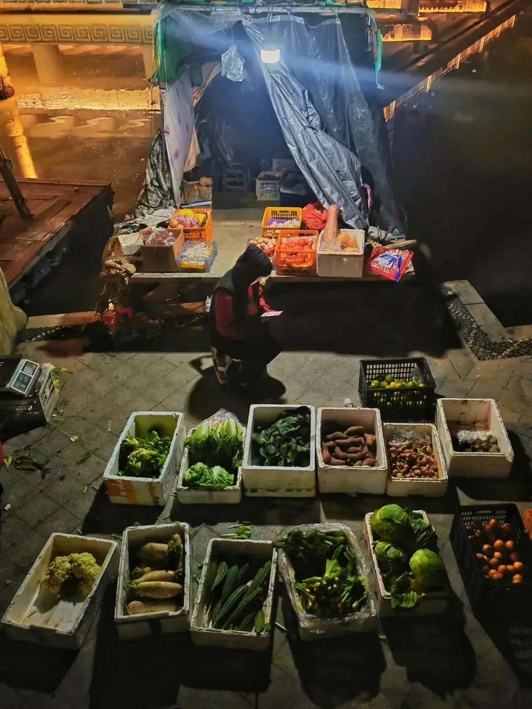 原创摄影作品投稿指南_摄影作品展板设计_摄影比赛作品点评