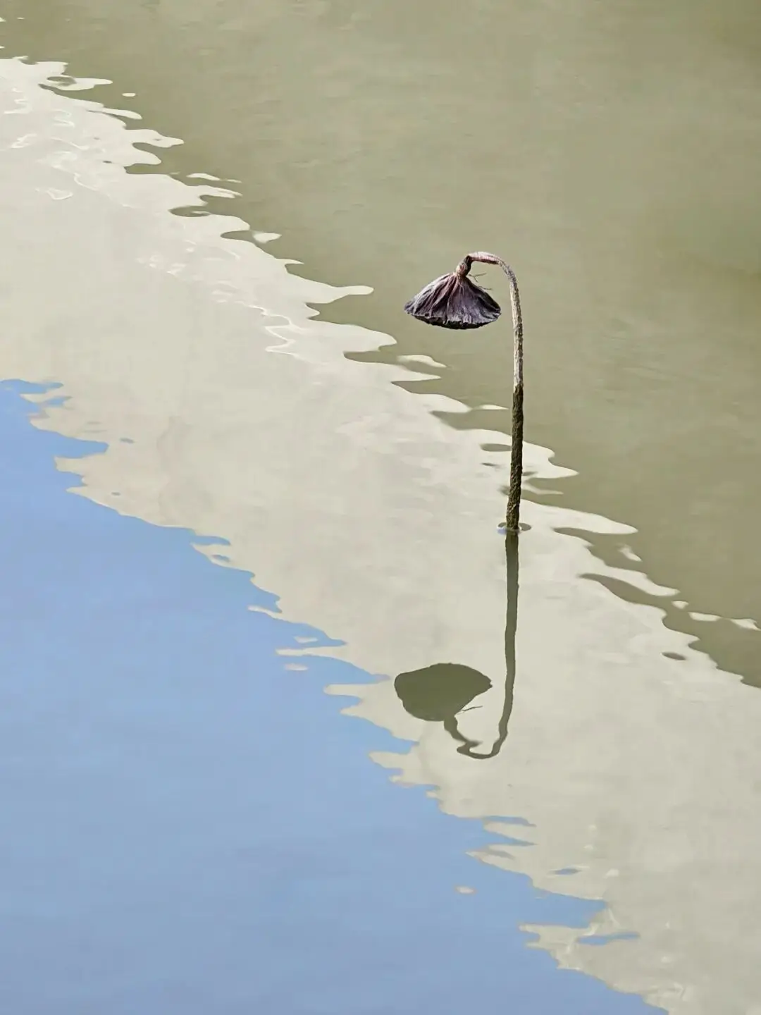 摄影作品展板设计_原创摄影作品投稿指南_摄影比赛作品点评