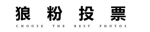 摄影比赛作品点评_摄影作品展板设计_原创摄影作品投稿指南