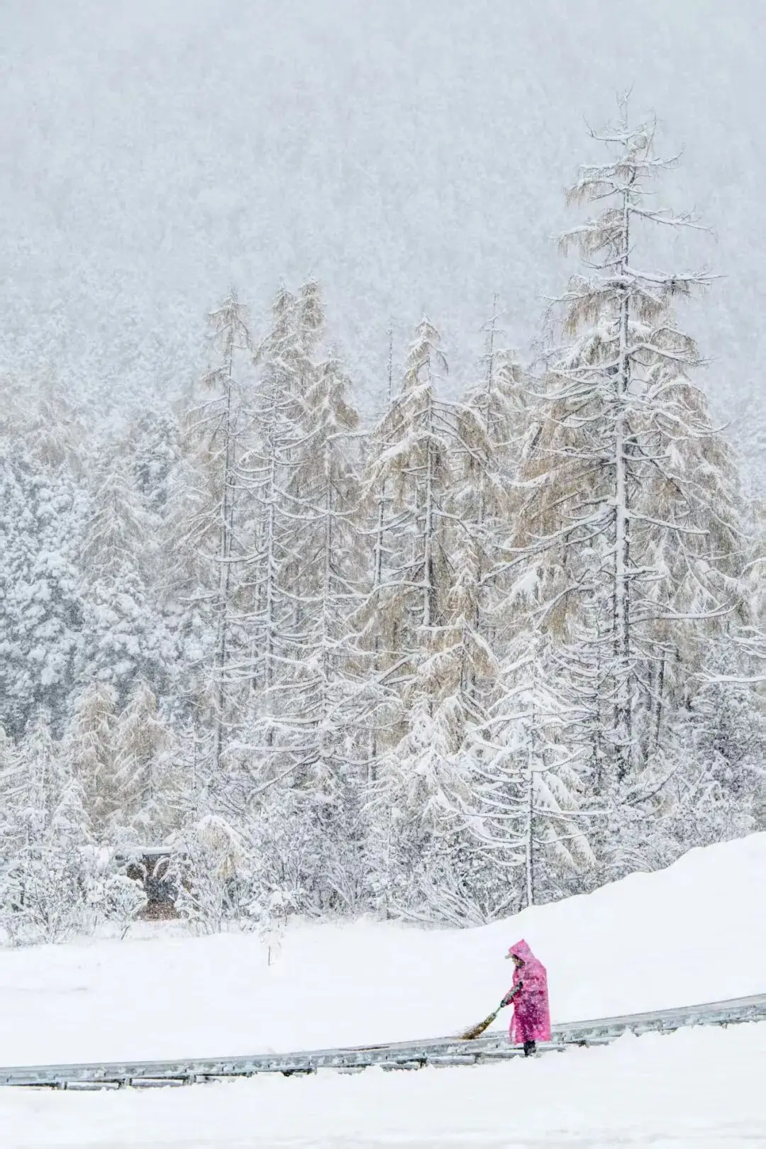 摄影作品展板设计_原创摄影作品投稿指南_摄影比赛作品点评