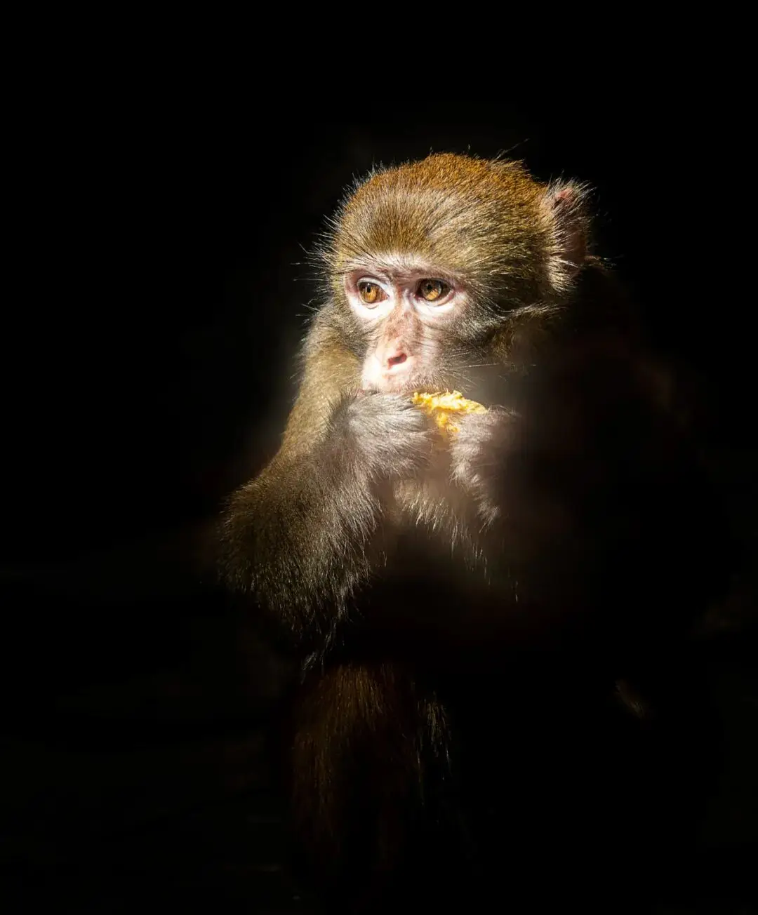 摄影比赛作品点评_摄影作品展板设计_原创摄影作品投稿指南