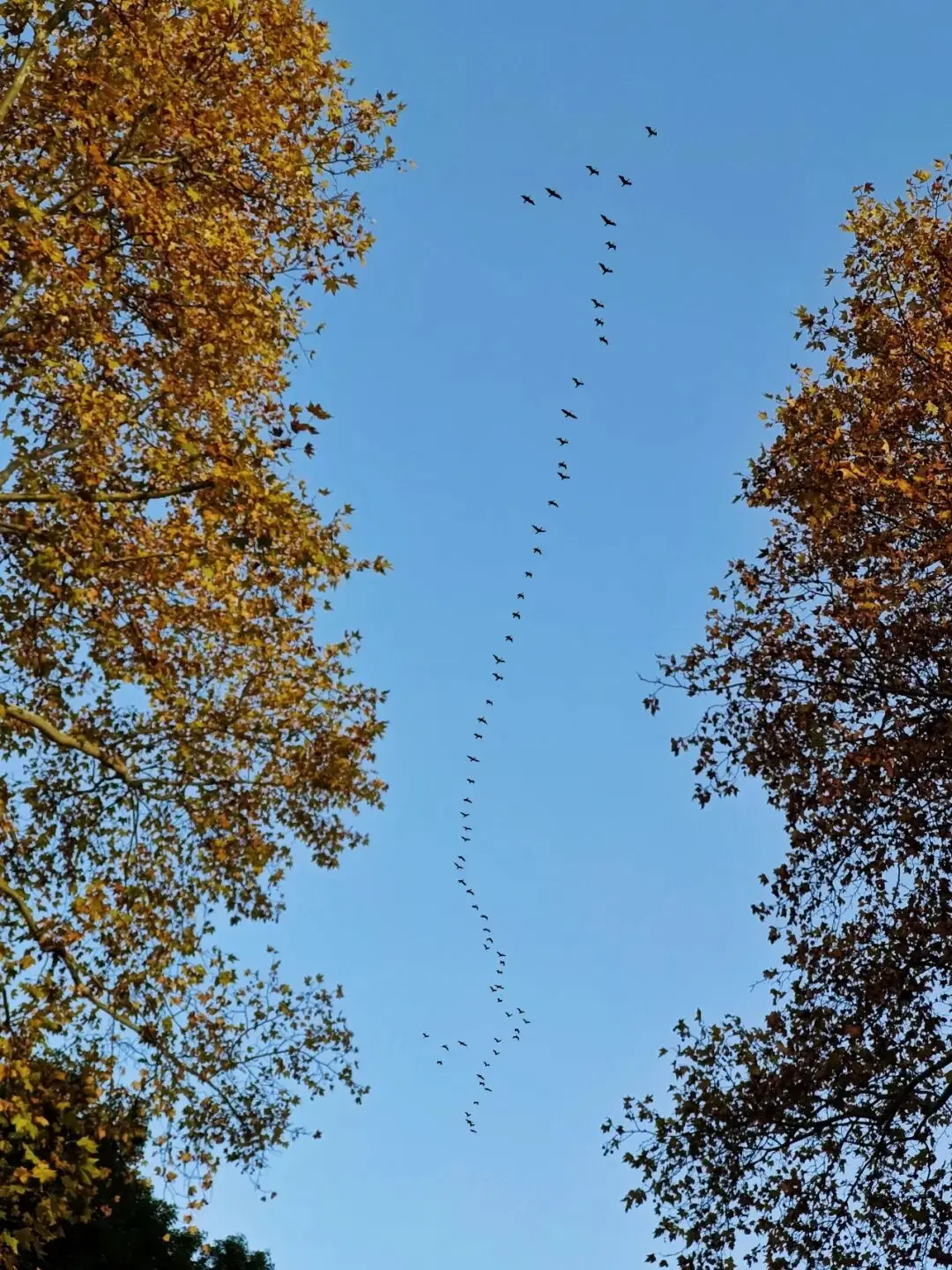 摄影作品展板设计_摄影比赛作品点评_原创摄影作品投稿指南