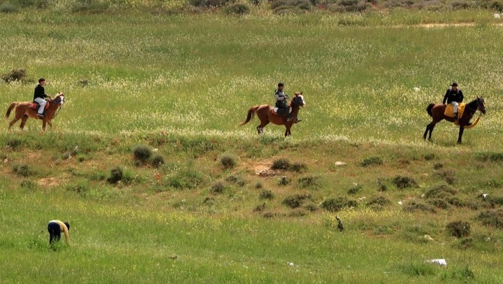 浙江滕头村清洁能源发展_浙江滕头村生态旅游_宁波江北滕头生态酒店