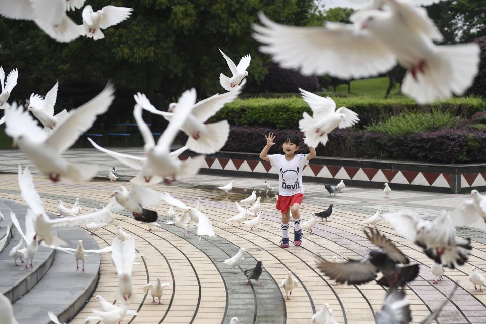 浙江滕头村生态旅游_宁波江北滕头生态酒店_浙江滕头村清洁能源发展
