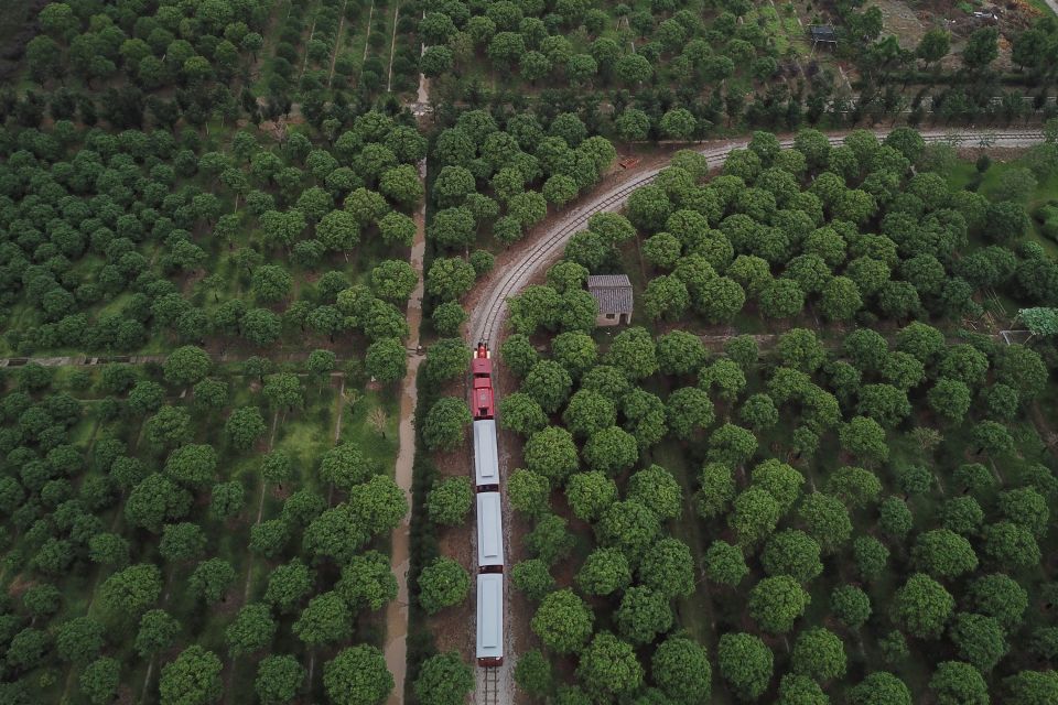宁波江北滕头生态酒店_浙江滕头村生态旅游_浙江滕头村清洁能源发展