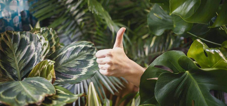 互联网生态平衡_生态系统的物质循环导学案_生态系统规律