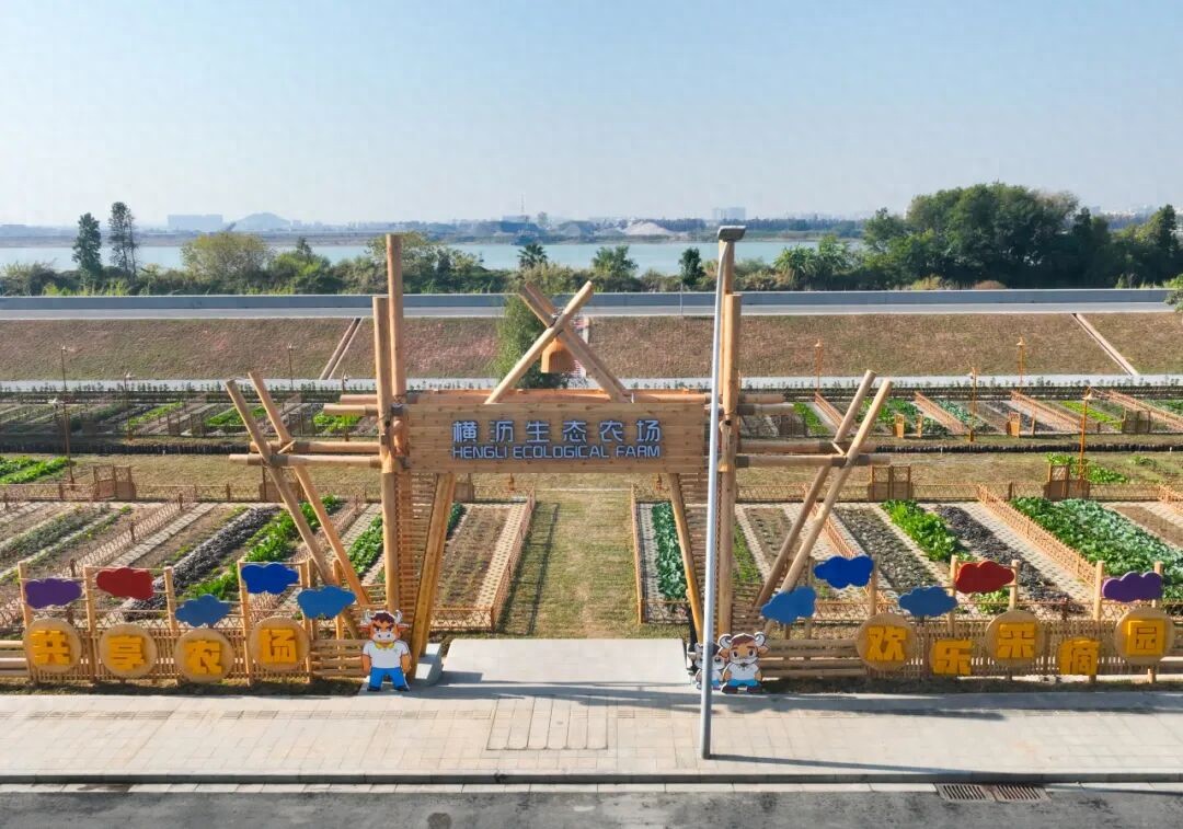 南沙生物谷生态农业体验区_生态农业产业园规划_南沙生物谷滨水带景观提升项目