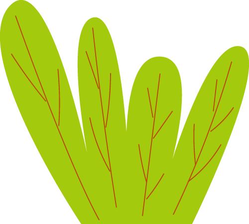 南沙生物谷生态农业体验区_生态农业产业园规划_南沙生物谷滨水带景观提升项目