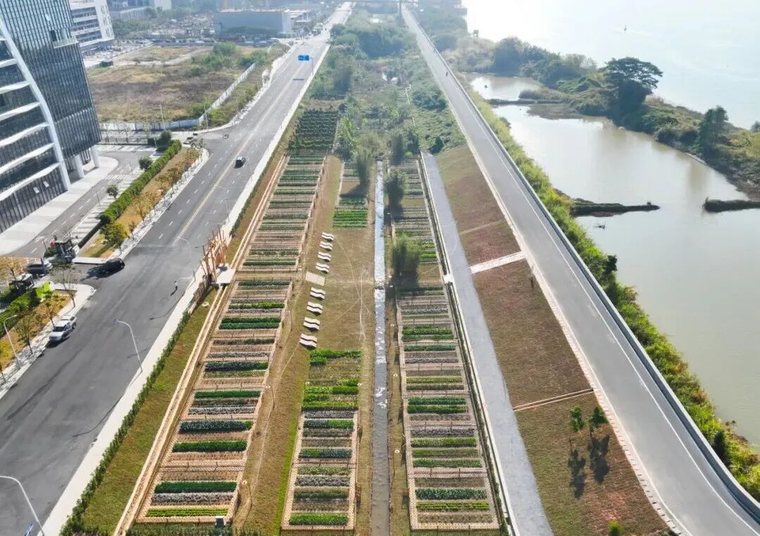 南沙生物谷生态农业体验区_南沙生物谷滨水带景观提升项目_生态农业产业园规划