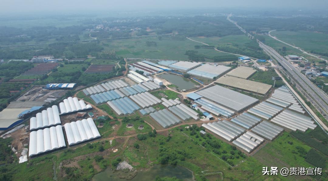 工厂化订单式农业种植基地_撂荒地改造农业种植基地_生态农业产业园规划