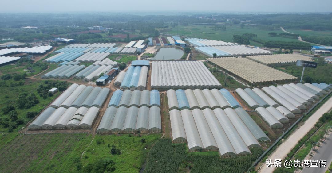 撂荒地改造农业种植基地_工厂化订单式农业种植基地_生态农业产业园规划