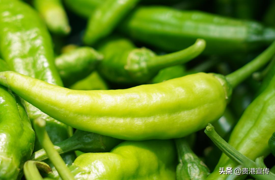 工厂化订单式农业种植基地_撂荒地改造农业种植基地_生态农业产业园规划