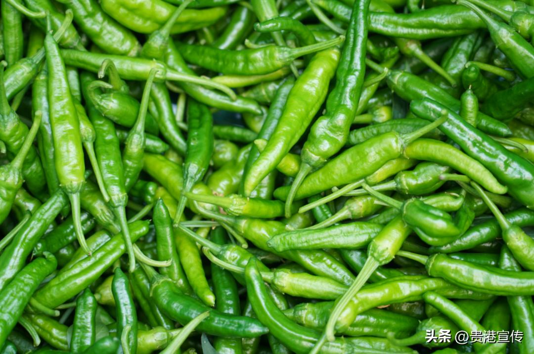 撂荒地改造农业种植基地_生态农业产业园规划_工厂化订单式农业种植基地