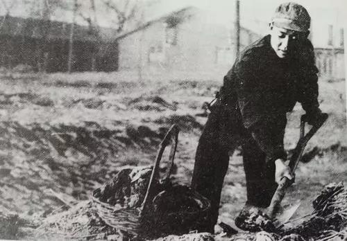 有关雷锋电影_乔安山 雷锋 静默的情怀