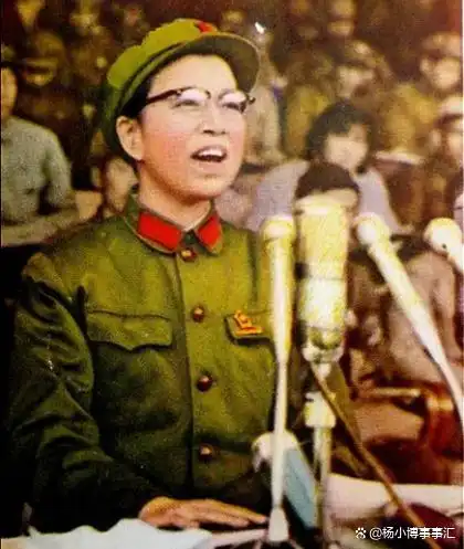 四人帮兴亡_抓捕四人帮 叶永烈_叶永烈