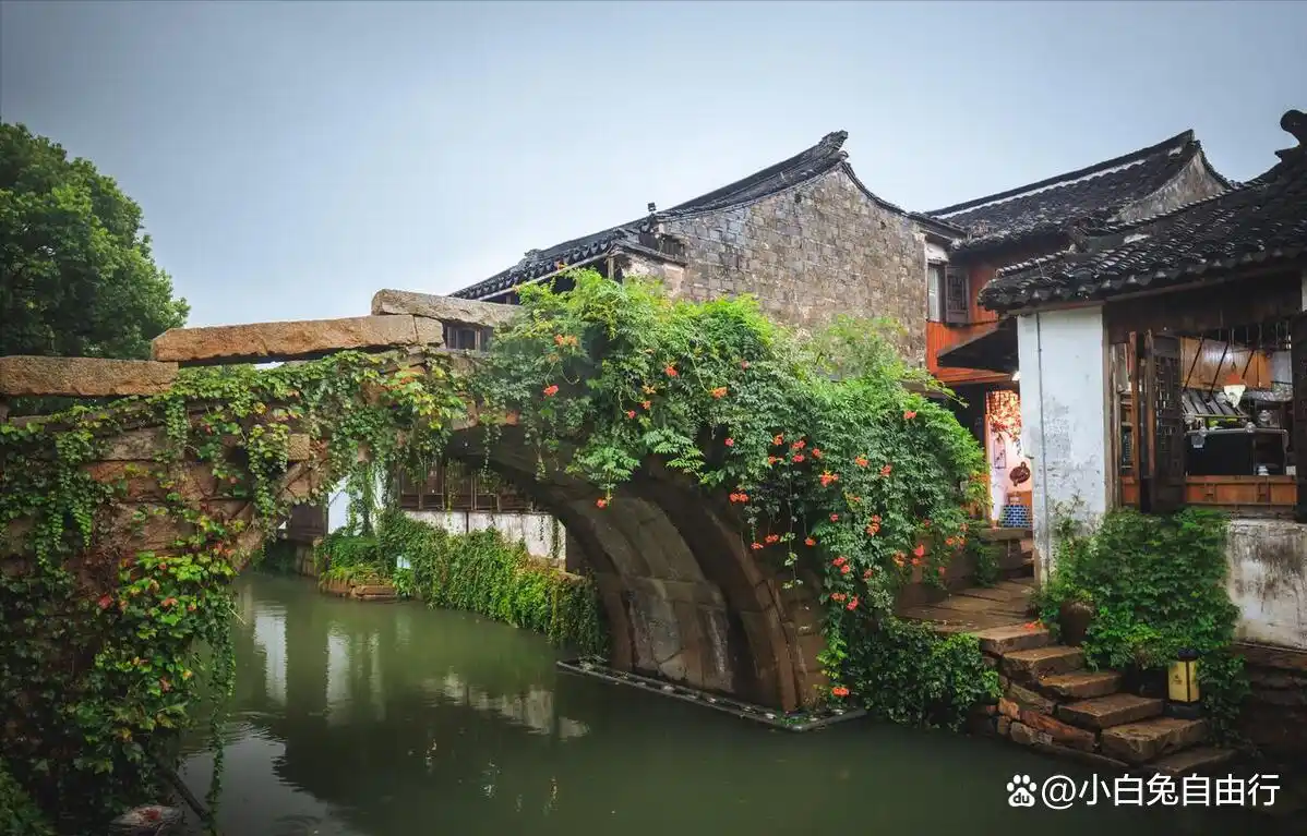 苏州市周庄古镇景区介绍_沈厅张厅景点介绍_周庄古镇双桥游览