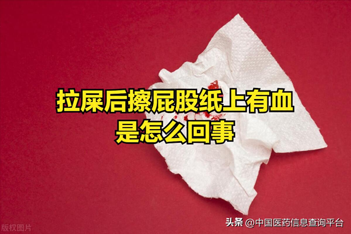 排便后卫生纸有血迹_自己弄弄肛门看里面弄出点血_痔疮导致排便后出血