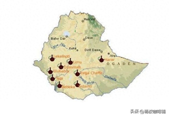 耶加雪啡孕妇能喝_耶加雪菲产地海拔_耶加雪菲咖啡特点