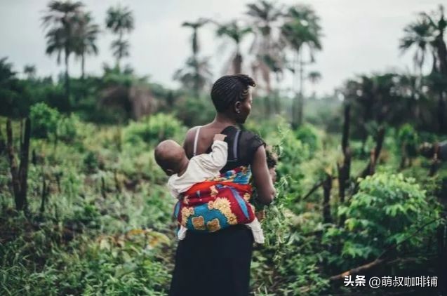 耶加雪菲产地海拔_耶加雪菲咖啡特点_耶加雪啡孕妇能喝