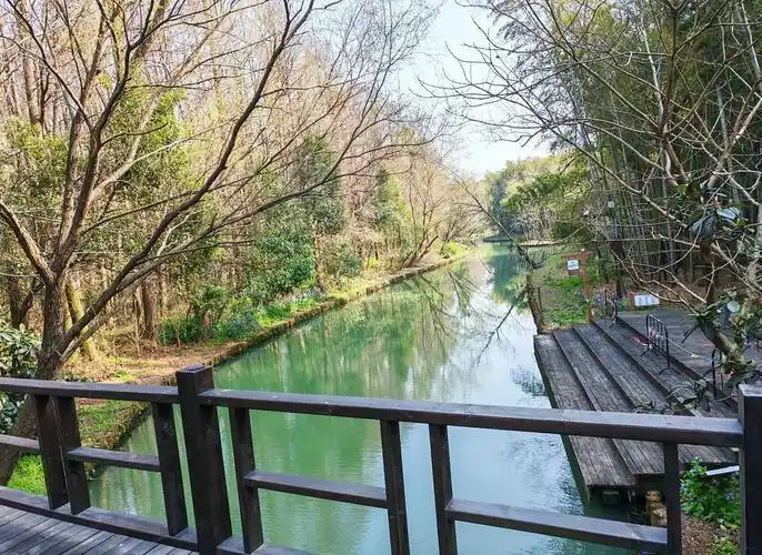 自然课堂实践_生态课堂_生态课活动概述