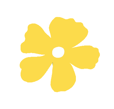 习近平生态文明思想_生态课堂_绿色生活实践