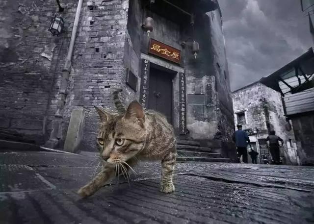 中国古建筑摄影_古建筑 摄影_古建筑艺术魅力