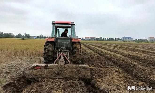 低茬收割粉碎还田技术_澧县大堰垱镇秸秆综合利用_秸秆如何利用