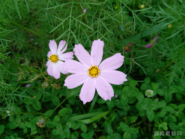 联想ZUK Z2配置评测_ZUK Z2 4英寸小屏旗舰手机_z2 mini