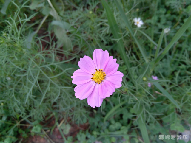 z2 mini_联想ZUK Z2配置评测_ZUK Z2 4英寸小屏旗舰手机