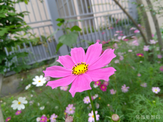 z2 mini_联想ZUK Z2配置评测_ZUK Z2 4英寸小屏旗舰手机