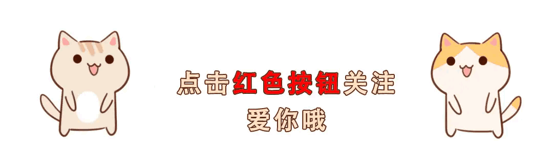 五黑汤食谱_补肾养血食谱_长期喝黑枸杞皮肤好得不得了