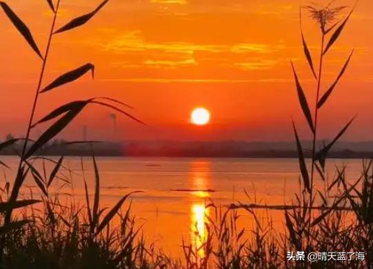 河堤路梅花秘境拍照打卡_西安漕渭驿梅花赏花攻略_西安渭河生态景观区